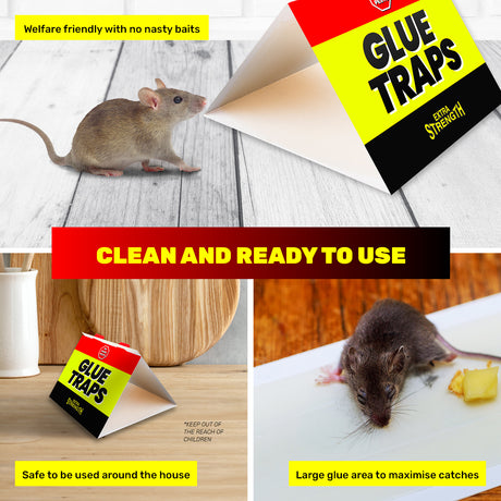 SAS Pest Control 48PCE Mice Rat Traps Peanut Scented Poison Free Non-Toxic