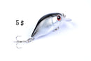 5x 5.5cm Popper Crank Bait Fishing Lure Lures Surface Tackle Saltwater