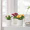 3 Pack of Artificial Spring Bright Colours Potted Plants in White Plastic 6cm Pot Interior Decoration