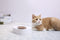 PETKIT Fresh Nano-15 Adjustable Cat Feeding Bowl -Single