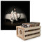 Crosley Record Storage Crate & Billie Eilish - When We All Fall Asleep, Where Do We Go - Vinyl Album Bundle