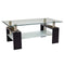 Eppin 2-Tier Black Glass Coffee Table
