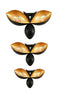 Bee Shape Wall Mounted Black Gold Candle Holders - Set of 3