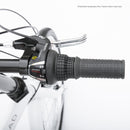 Progear Bikes Nomad Folding Bike 20" in Pearl White