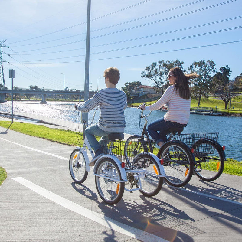 Progear Bikes E-Free Electric Trike with Walk Mode 24" in Grey