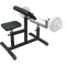 Preacher Curl Bench Weights Commercial Bicep Arms