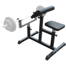 Preacher Curl Bench Weights Commercial Bicep Arms