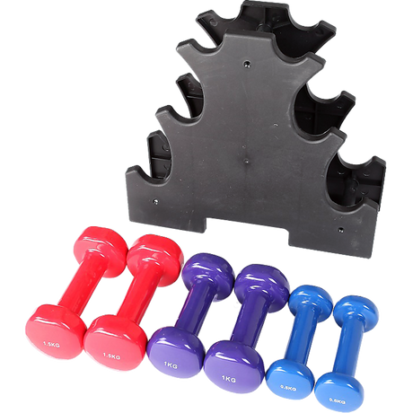 6-Piece Dumbbell Set with Rack