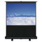 100" Pull Up Portable Office Projection Screen