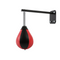 Speed Bag Boxing Punching Bag Wall Mount Reflex Training