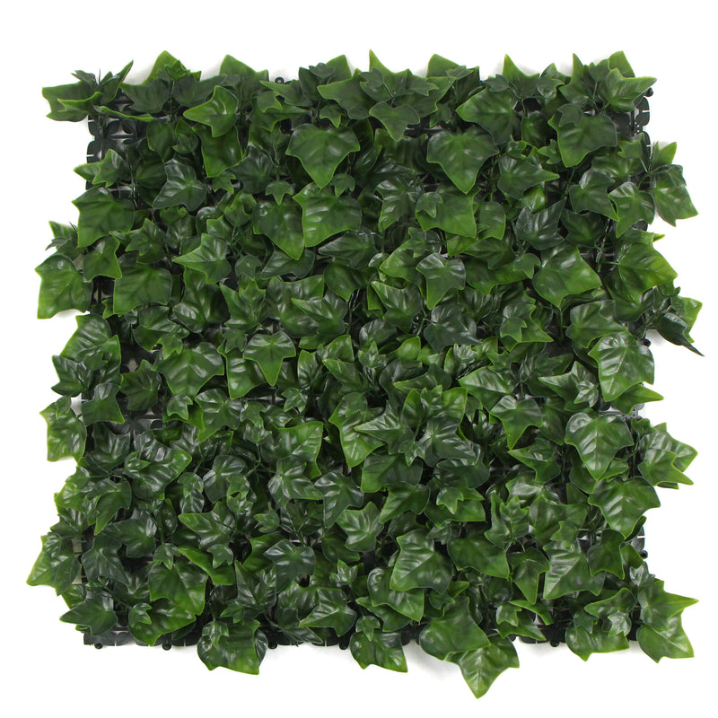 Variegated Boston Ivy Leaf Screen Green Wall Panel UV Resistant 1m X 1m (Solid Backing)
