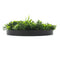 Flowering White Artificial Green Wall Disc UV Resistant 100cm (Black Frame)