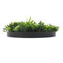 Flowering White Artificial Green Wall Disc UV Resistant 50cm (Black Frame)