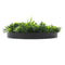 Flowering White Artificial Green Wall Disc UV Resistant 50cm (Black Frame)