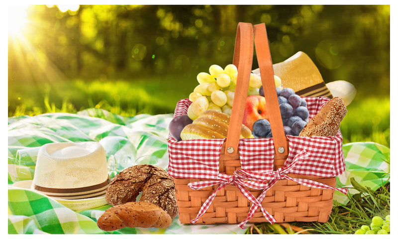 Deluxe Picnic Basket Indoor Outdoor Baskets Corporate Blanket Park Trip
