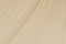King Size Cotton Hammock in Cream