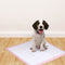 PawZ 400 Pcs 60x60 cm Pet Puppy Toilet Training Pads Absorbent Lavender Scent