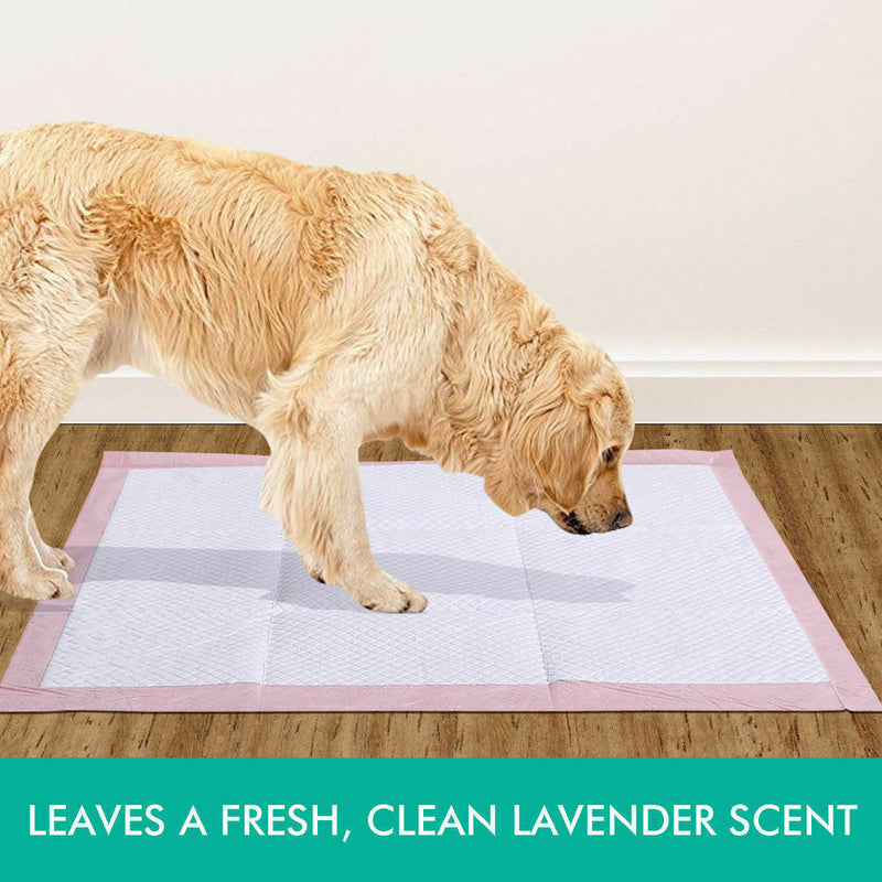 PawZ 400 Pcs 60x60 cm Pet Puppy Toilet Training Pads Absorbent Lavender Scent