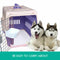PawZ 200 Pcs 60x60 cm Pet Puppy Toilet Training Pads Absorbent Lavender Scent