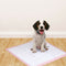 PawZ 200 Pcs 60x60 cm Pet Puppy Toilet Training Pads Absorbent Lavender Scent