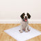 PawZ 50 Pcs 60x60 cm Pet Puppy Dog Toilet Training Pads Absorbent Meadow Scent