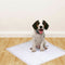 PawZ 400 Pcs 60x60 cm Pet Puppy Dog Toilet Training Pads Absorbent Meadow Scent