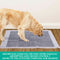 PawZ 200 Pcs 60x60cm Charcoal Pet Puppy Dog Toilet Training Pads Ultra Absorbent