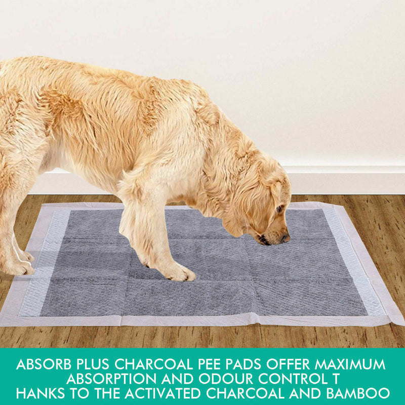 PawZ 50 Pcs 60x60cm Charcoal Pet Puppy Dog Toilet Training Pads Ultra Absorbent