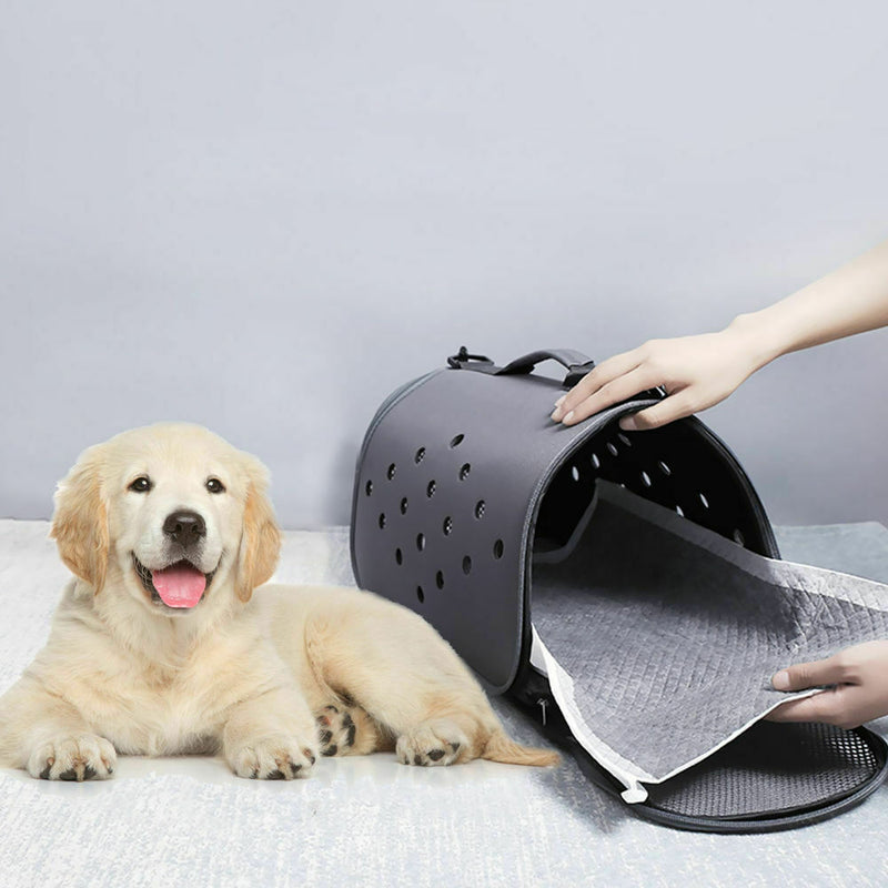 PawZ 400 Pcs 60x60cm Charcoal Pet Puppy Dog Toilet Training Pads Ultra Absorbent