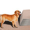 PawZ 2 Pcs 60x90 cm Reusable Waterproof Pet Puppy Toilet Training Pads