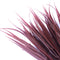 Dark Red Artificial Grass Stem 35cm Long UV Resistant