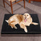 Pawz 5CM Memory Foam Orthopaedic Pet Bed Dog Puppy Mat Cat Pad Cushion L
