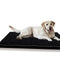 Pawz 5CM Memory Foam Orthopaedic Pet Bed Dog Puppy Mat Cat Pad Cushion L