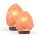 2-3 kg Himalayan Salt Lamp Rock Crystal Natural Light Dimmer Switch Cord Globes