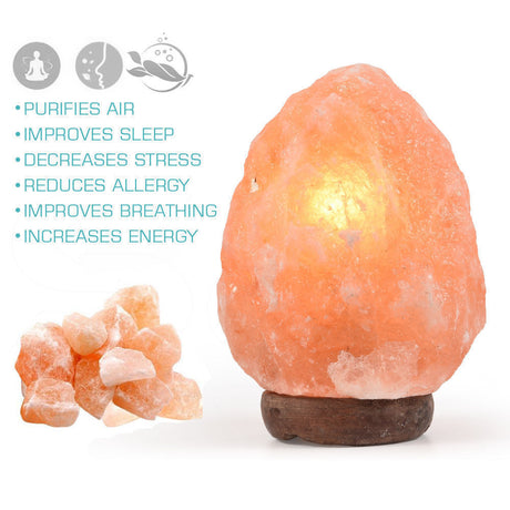 2-3 kg Himalayan Salt Lamp Rock Crystal Natural Light Dimmer Switch Cord Globes