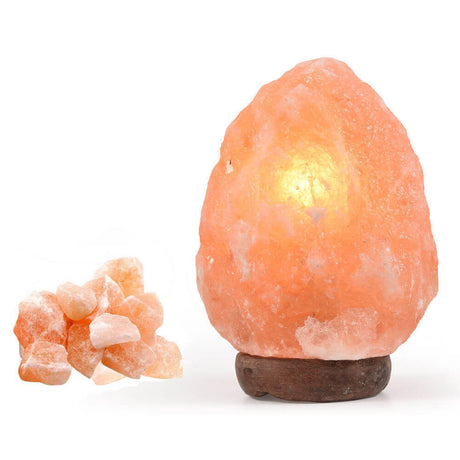 2-3 kg Himalayan Salt Lamp Rock Crystal Natural Light Dimmer Switch Cord Globes