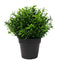 Small Potted Artificial Bright Rosemary Herb Plant UV Resistant 20cm