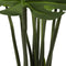 Split Philodendron (Split Leaf) 120cm