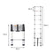 Multipurpose Ladder Telescopic Aluminum One Button Retraction Slow Down 2.6M