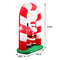 Inflatable Christmas Santa Snowman with LED Light Xmas Decoration Outdoor Type 7