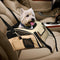 PaWz Portable Pet Carrier Car Booster Seat in Size Large in Beige Colour