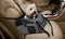 PaWz Portable Pet Carrier Dog Cat Car Booster Seat Soft Cage Travel Bag L Grey