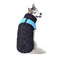 PaWz Dog Winter Jacket Padded Waterproof Pet Clothes Windbreaker Vest Coat Blue
