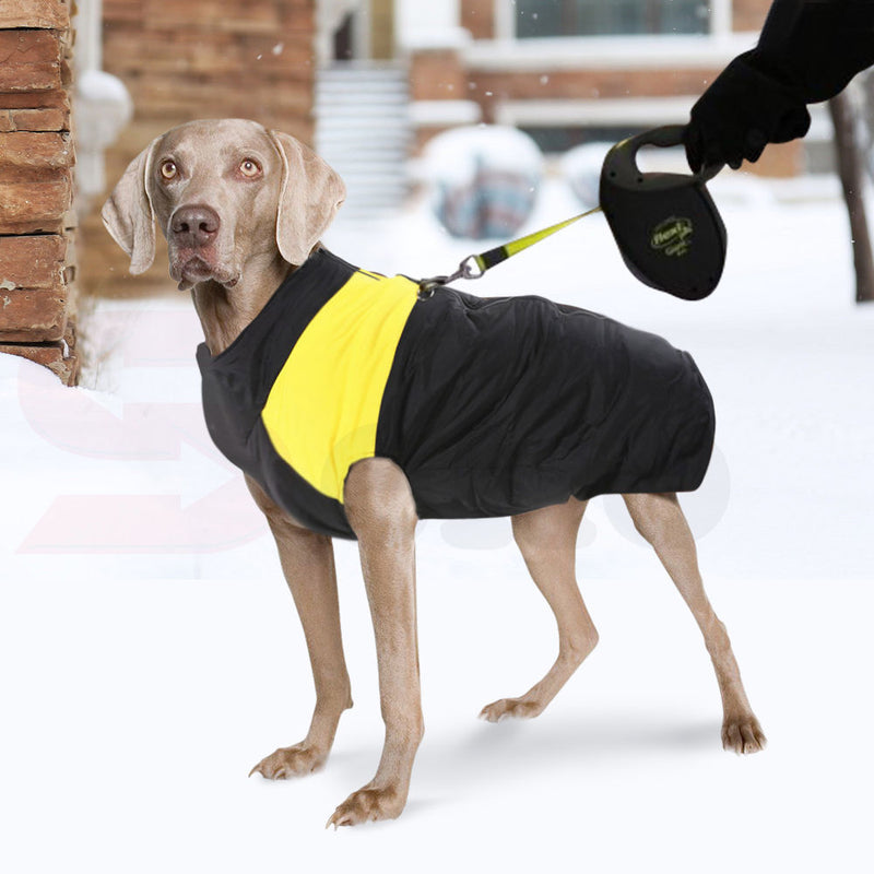 PaWz PaWz Dog Winter Jacket Padded  Pet Clothes Windbreaker Vest Coat XL Green