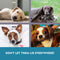 PaWz Bed Trampoline Pet Dog Puppy Cat Heavy Duty Frame Hammock Mesh Size XL