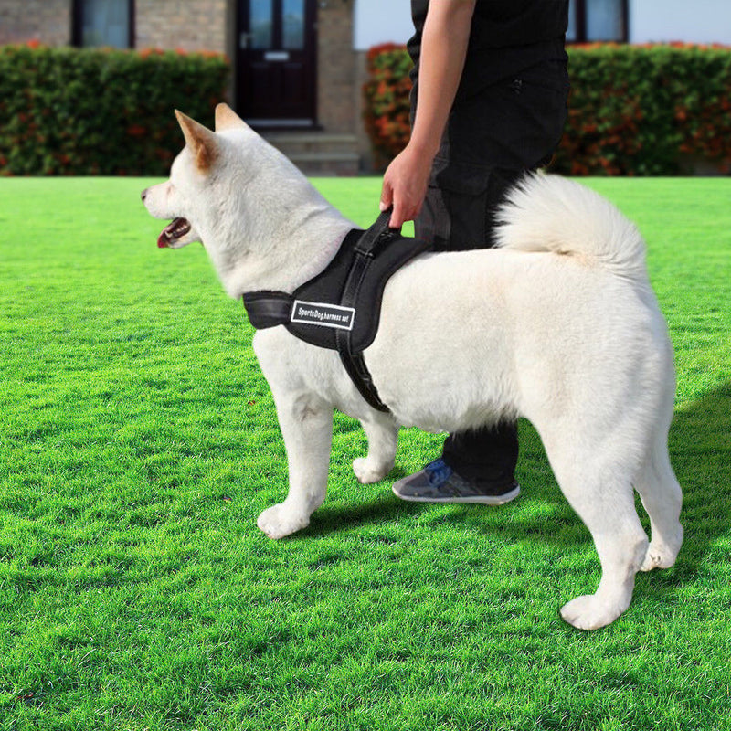 PaWz Control Dog Pulling Harness Adjustable Support Pet Pitbull Training M Black