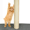 PaWz 0.8-2.1M Cat Scratching Perch Post Tree Gym House Condo Furniture Scratcher