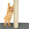 PaWz 1,8M Cat Scratching Post Tree Gym House Condo Furniture Scratcher Pole