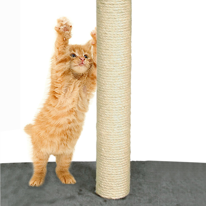 PaWz Pet Cat Tree Scratching Post Scratcher Trees Gym House Condo Furniture Wood