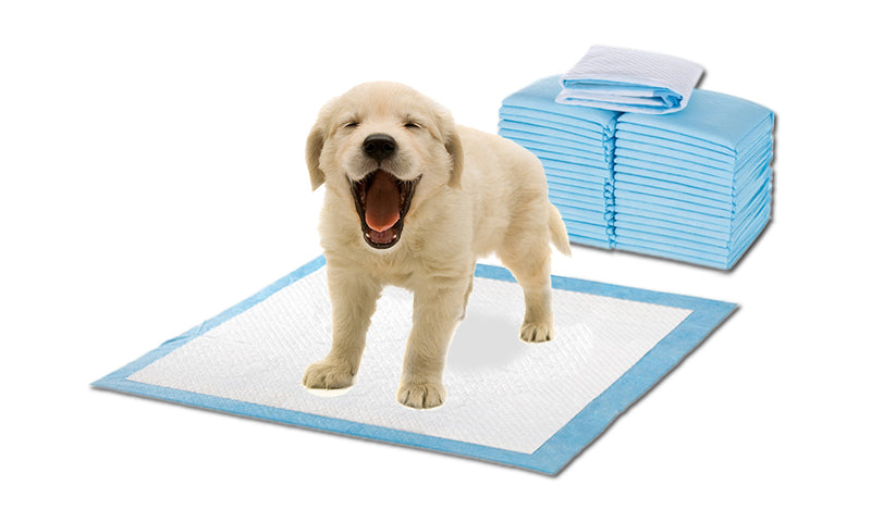 PaWz 100 Pcs 60x60cm Ultra Absorbent Puppy Pet Dog Cat Toilet Training Pads Blue